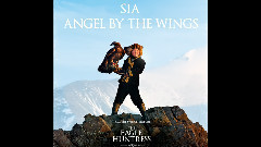 Angel By The Wings