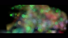 Pérola-Poesia (Ao Vivo)