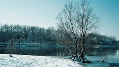 云南雪