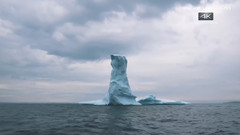 海岸生灵