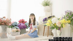 安全应用歌