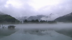 听乐