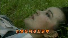 不了情