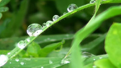 雾与冰的季节