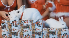 Last Christmas