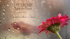 Sometimes when it Rains