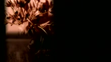 Indigo Girls - Power Of Two