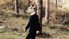 DEER FROM SPACE