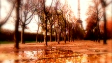 Walk This World