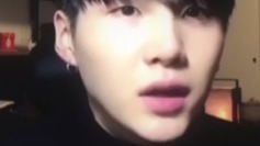 Suga Log