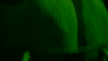 埃利斯·库伯 - I