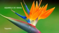Aquarela Do Brasil