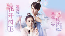 汪东城 - 花开树下 剧情版