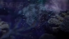 Dark Sky Island
