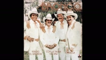 Bronco - Pilar de Cantina (Cover Audio)