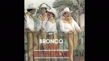 Bronco - Mi Delirio (Cover Audio)