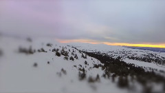 Medvetenhetsström