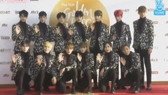 金唱片红毯 SEVENTEEN cut