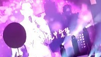 品冠 - 掌心 - 2017上海演唱会 饭拍版