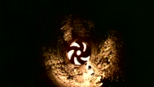 Tarantula