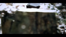 Lissie - Everywhere I Go