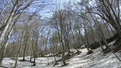 背景