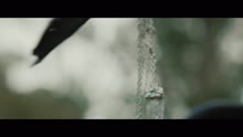 戚迹 - Endless Summer