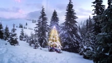 Band of Merrymakers - Wishlist (Lyric Video)