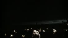 Die Fantastischen Vier - Nur in Deinem Kopf (Videoclip)