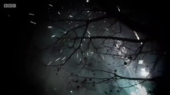 回家过年