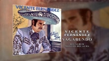 Vagabundo (Cover Audio)