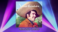 Hermoso Cariño (Cover Audio)