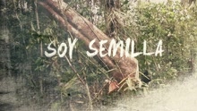 Macaco - Semillas