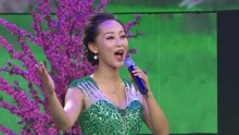 老百姓的微笑 - 2017陕西卫视春晚现场版 17/01/29