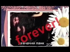 Ромашки