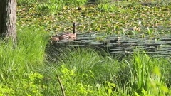 Secret Garden (2)