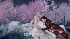 电视剧<幻城>之梨落不告而别