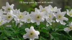 Penelope's Song