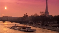 Leaves on the Seine