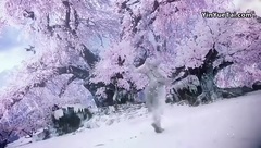 幻城37 预告