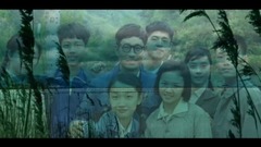 知青情书
