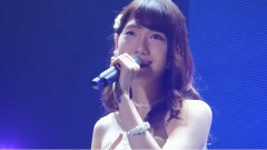 Max朱鷺315號