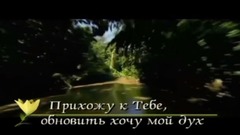 Благодати Твоей