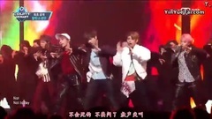 春日 & Not Today