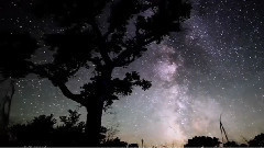 Black Night