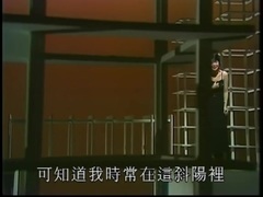邓丽君 - 黄昏里(旁白版)