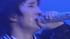 认真的雪