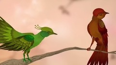 Beautiful Birds