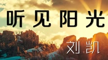 刘凯【听见阳光】20170315期