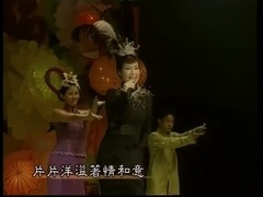 林淑容 - 片片枫叶片片情